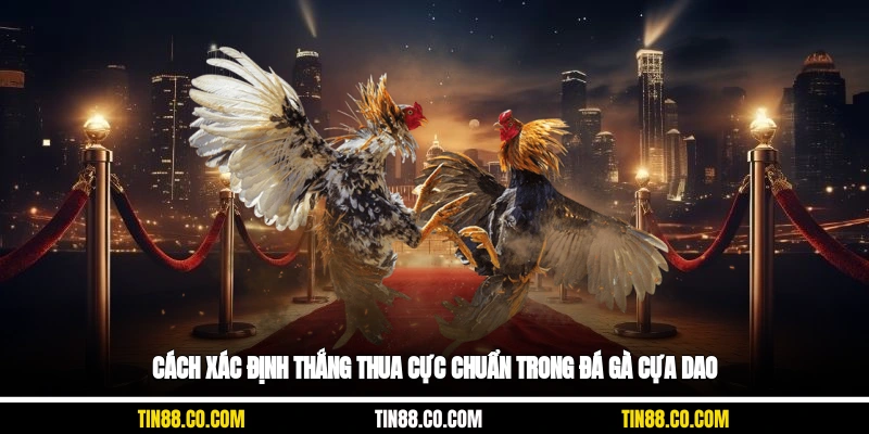Cách xác định thắng thua cực chuẩn trong đá gà cựa dao