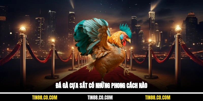 Đá gà cựa sắt có những phong cách nào?