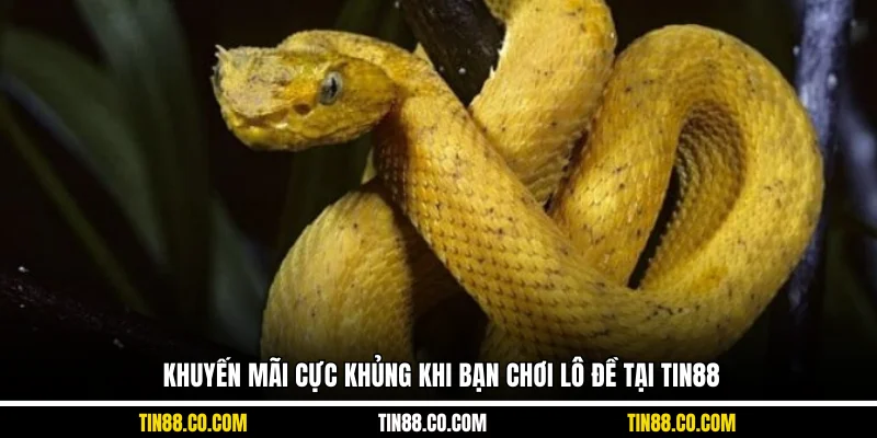 Khuyến mãi cực khủng khi bạn chơi lô đề tại Tin88