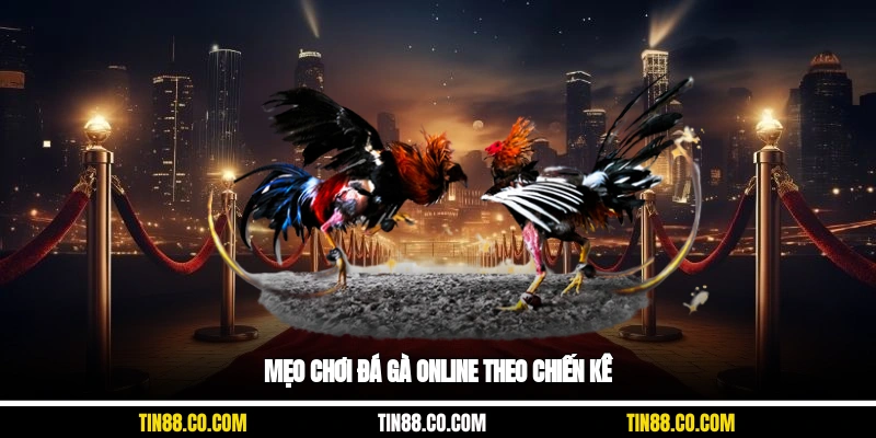 Mẹo chơi đá gà online theo chiến kê