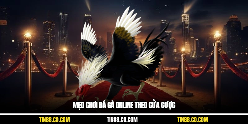 Mẹo chơi đá gà online theo cửa cược
