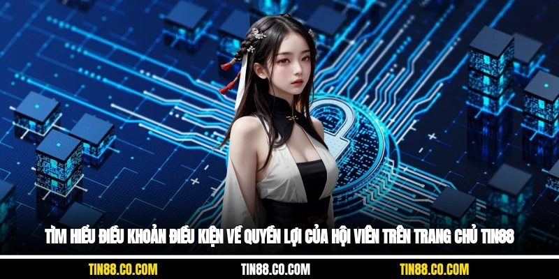 Tìm hiểu điều khoản điều kiện về quyền lợi của hội viên trên trang chủ Tin88