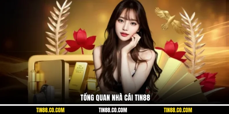 Tổng quan nhà cái Tin88