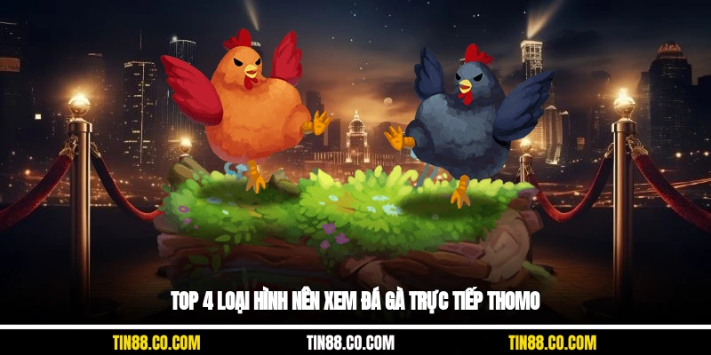 Top 4 loại hình nên xem đá gà trực tiếp Thomo
