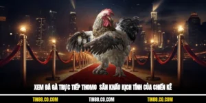 Xem Đá Gà Trực Tiếp Thomo - Sân Khấu Kịch Tính Của Chiến Kê